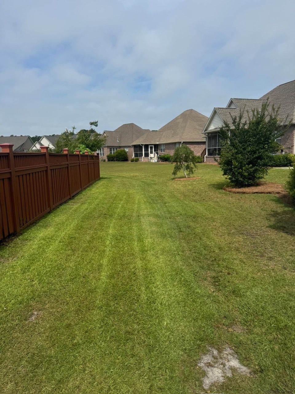 Same backyard with fresh mow lines and mulch rings — Wilmington NC
