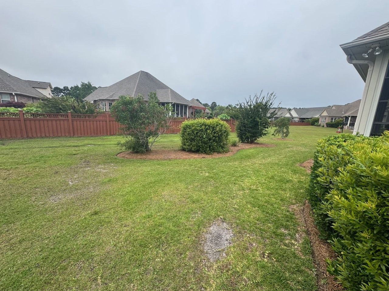Patchy backyard with scraggly bushes before service — Wilmington NC