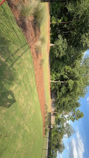 Fresh pine straw covering the curved backyard border bed in Castle Hayne, NC