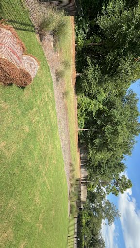 Backyard border bed before fresh pine straw installation in Castle Hayne, NC
