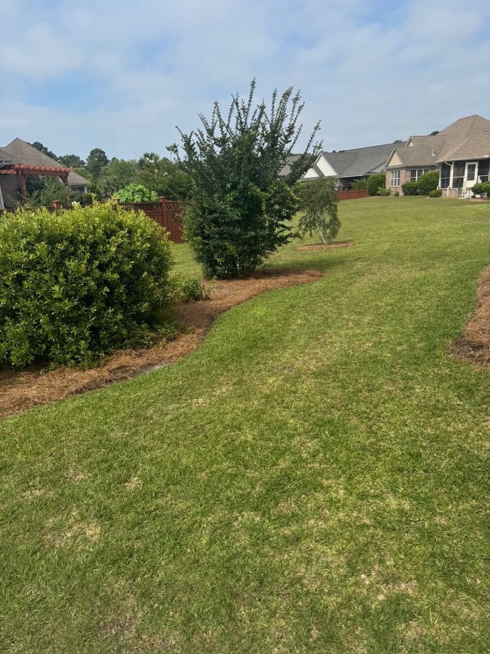 Mowed backyard slope with defined bed edges, Wilmington NC