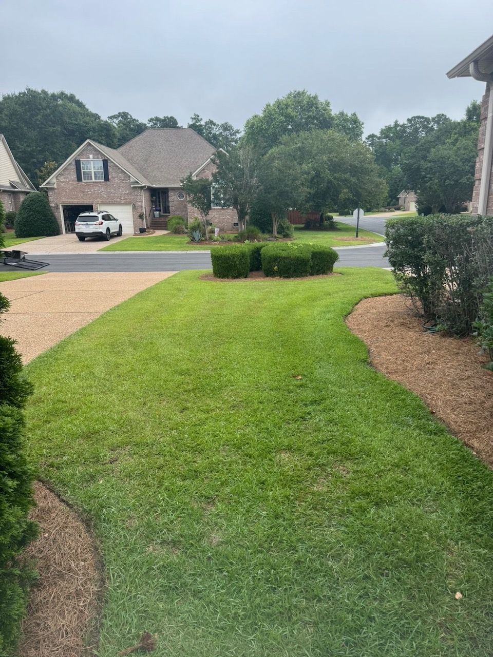 Manicured corner-lot front yard with pine straw beds and shaped shrubs, Wilmington NC