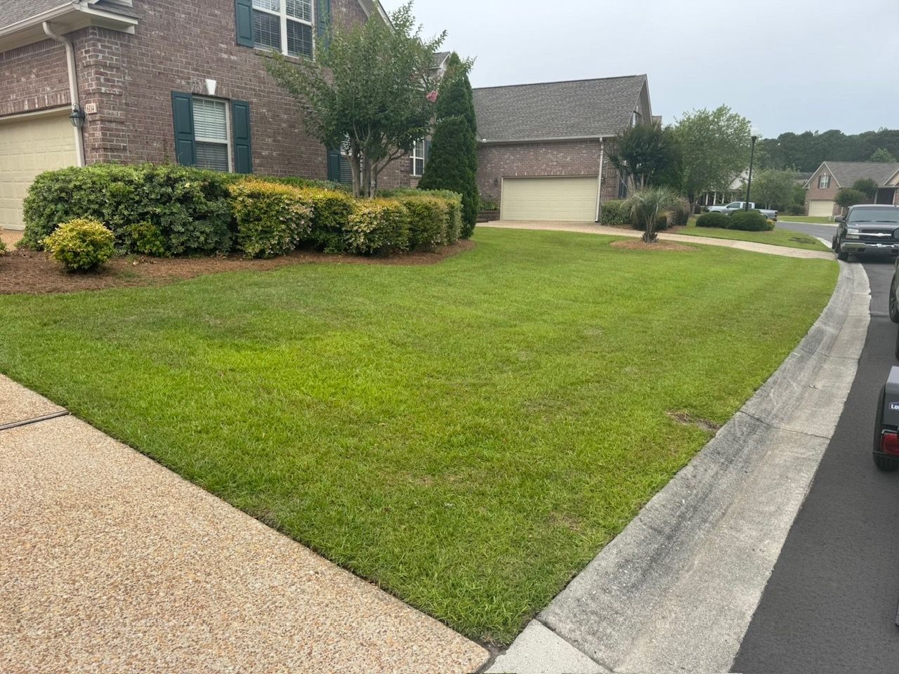 Lush green freshly mowed front lawn with crisp edges along the driveway, Wilmington NC