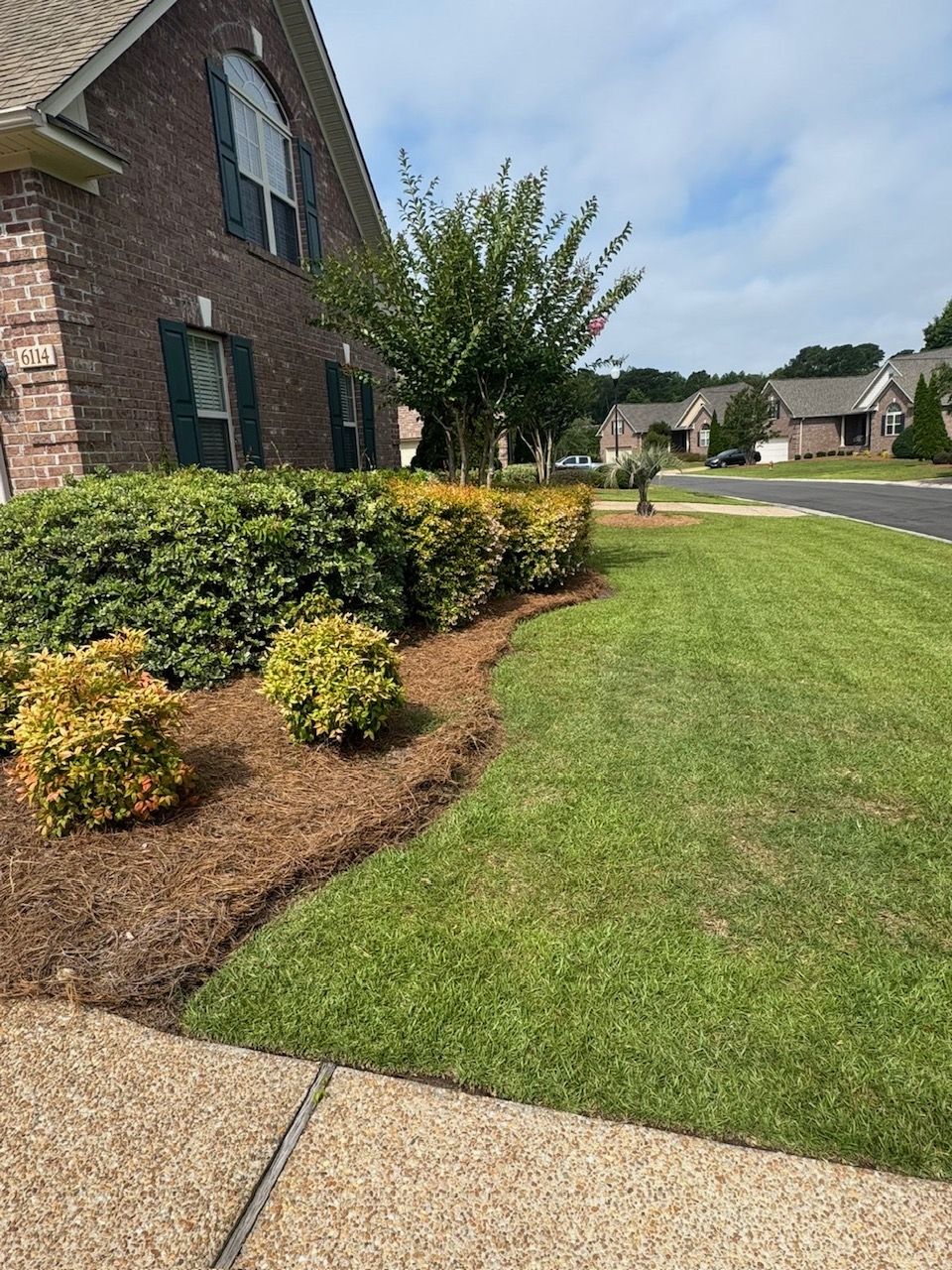 Fresh pine straw beds with trimmed shrubs, Wilmington NC