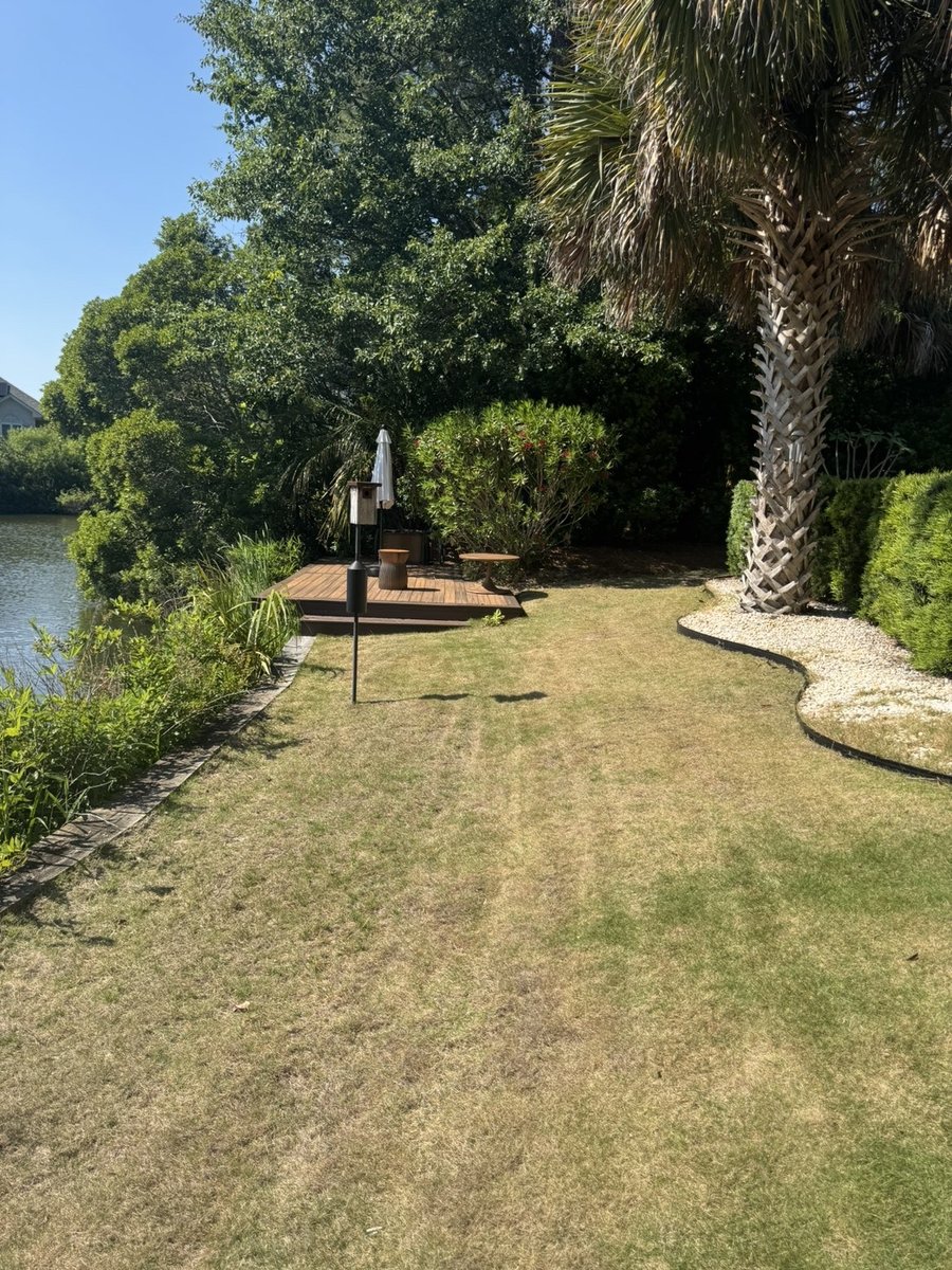Waterfront backyard lawn with palm, Wilmington NC