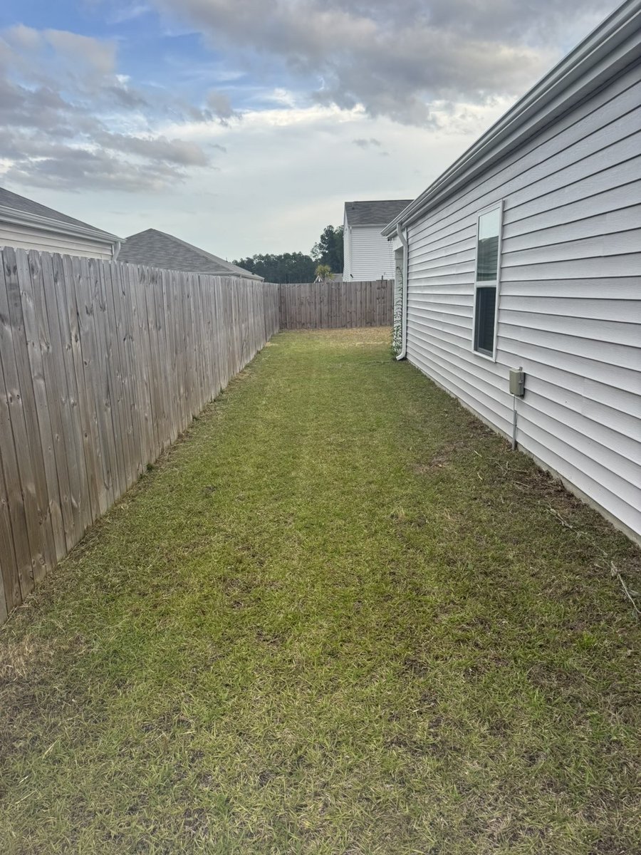 Freshly mowed side yard with crisp mowing lines, Wilmington NC lawn care by Live Oak